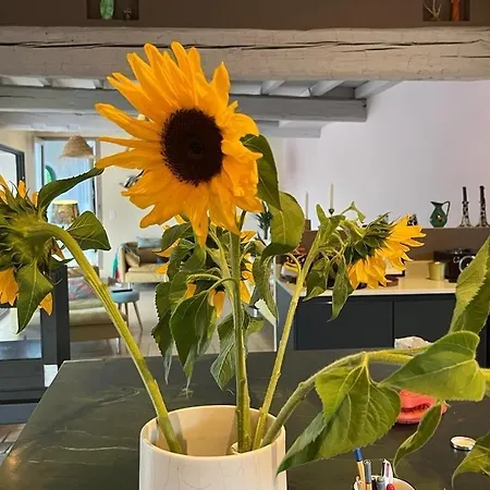 Kulla Cosy Pool&spa Villa